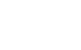 WebSavvy logo